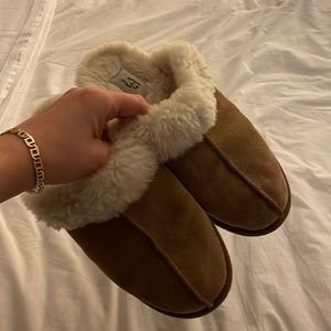 Ugg Scuffette II in Chestnut